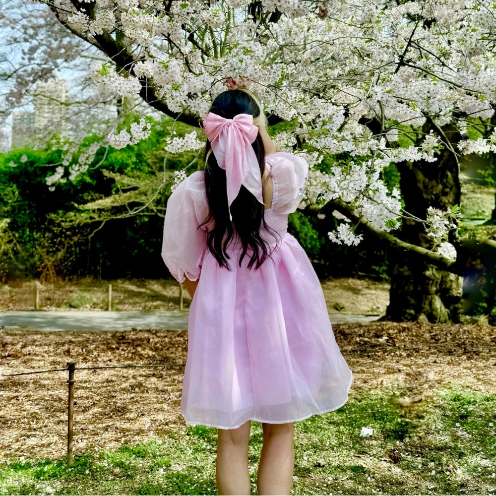 Pink Puffy Sleeve Princess Tulle Dress